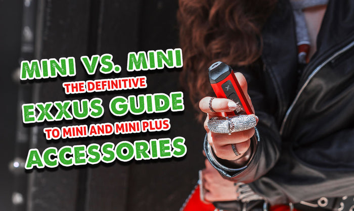 Mini vs. Mini: Der Exxus-Leitfaden zu Mini- und Mini Plus-Zubehör 